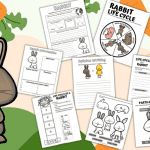 rabbit life cycle worksheets