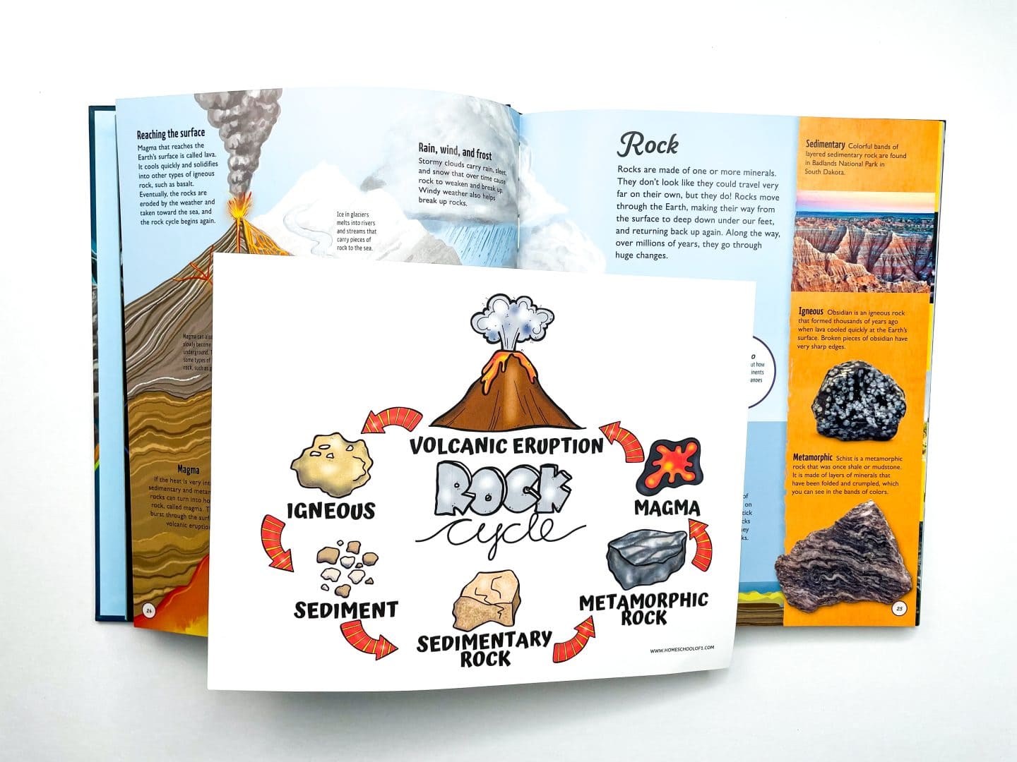 colorful rock cycle answer sheet on the life cycle book open on the rock pages