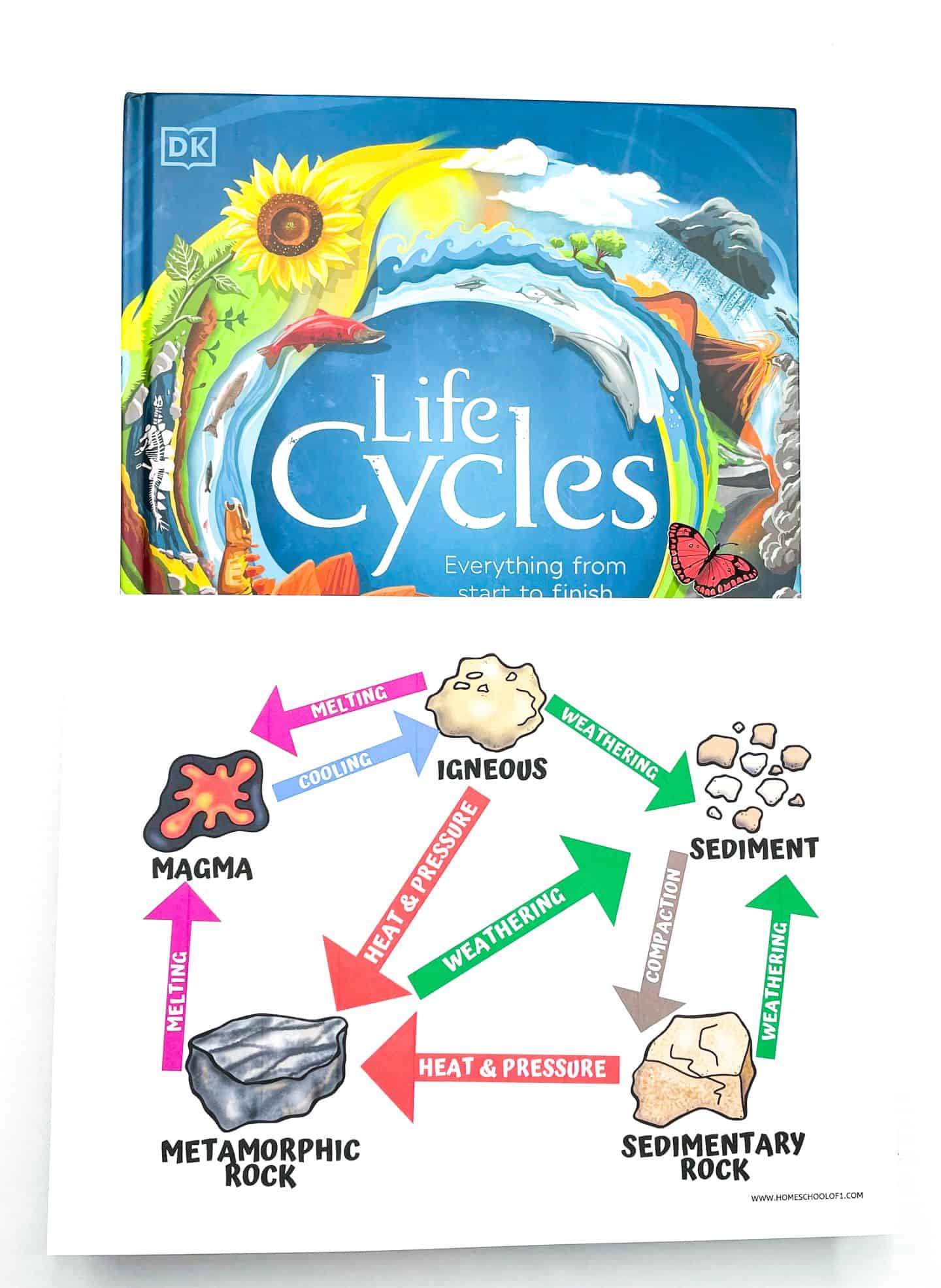 rock formation worksheet on top of the the DK book "Life Cycles"