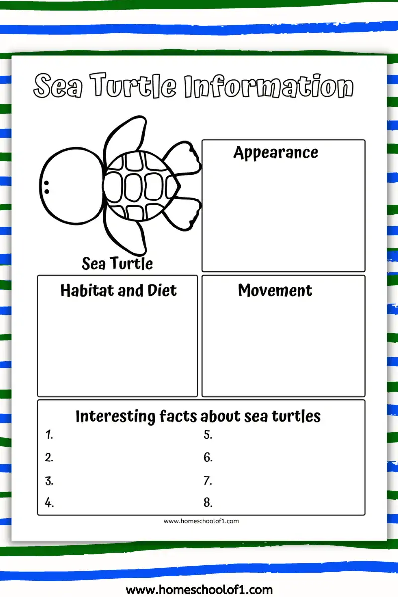 sea turtle information
