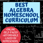 ALGEBRA HIGH SCHOOL CURRICULUM