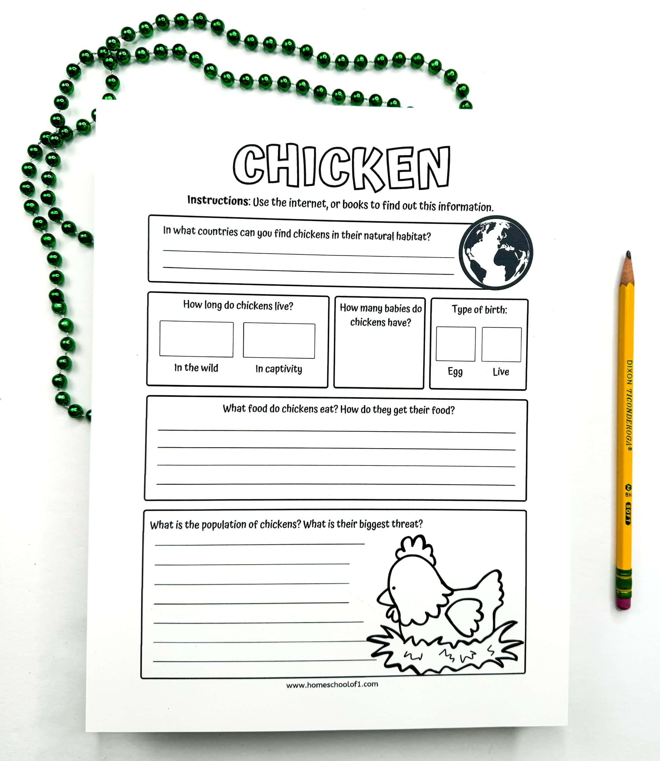 Black-and-white chicken research worksheet for kids, featuring question prompts about habitat, lifespan, reproduction, diet, population, and threats. Includes blank lines for written answers and a cartoon chicken sitting in a nest at the bottom. A green beaded necklace and a yellow pencil are placed beside the sheet on a white background.