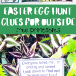 easter egg hunt clues for outside