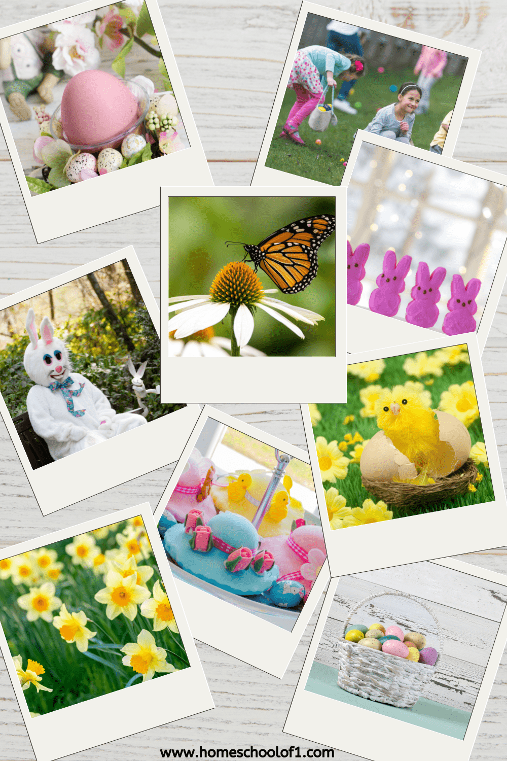 EASTER PHOTOS
