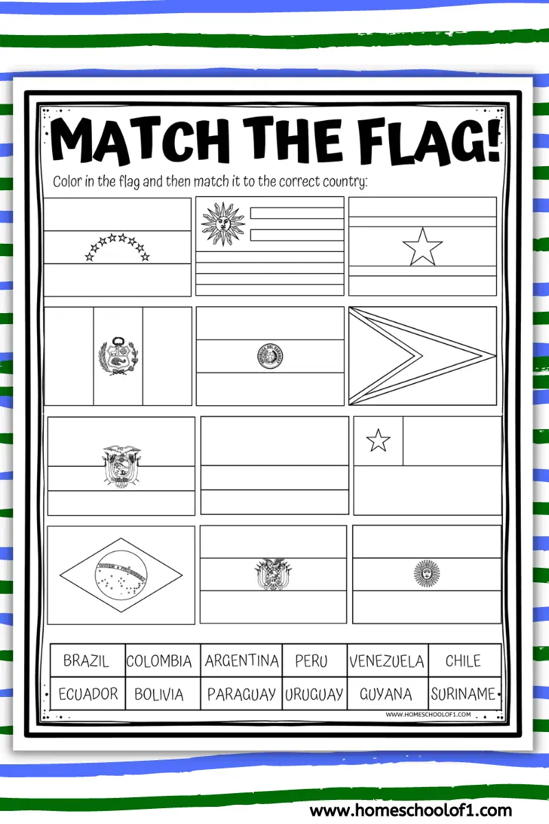 South America flags