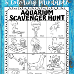 aquarium scavenger hunt