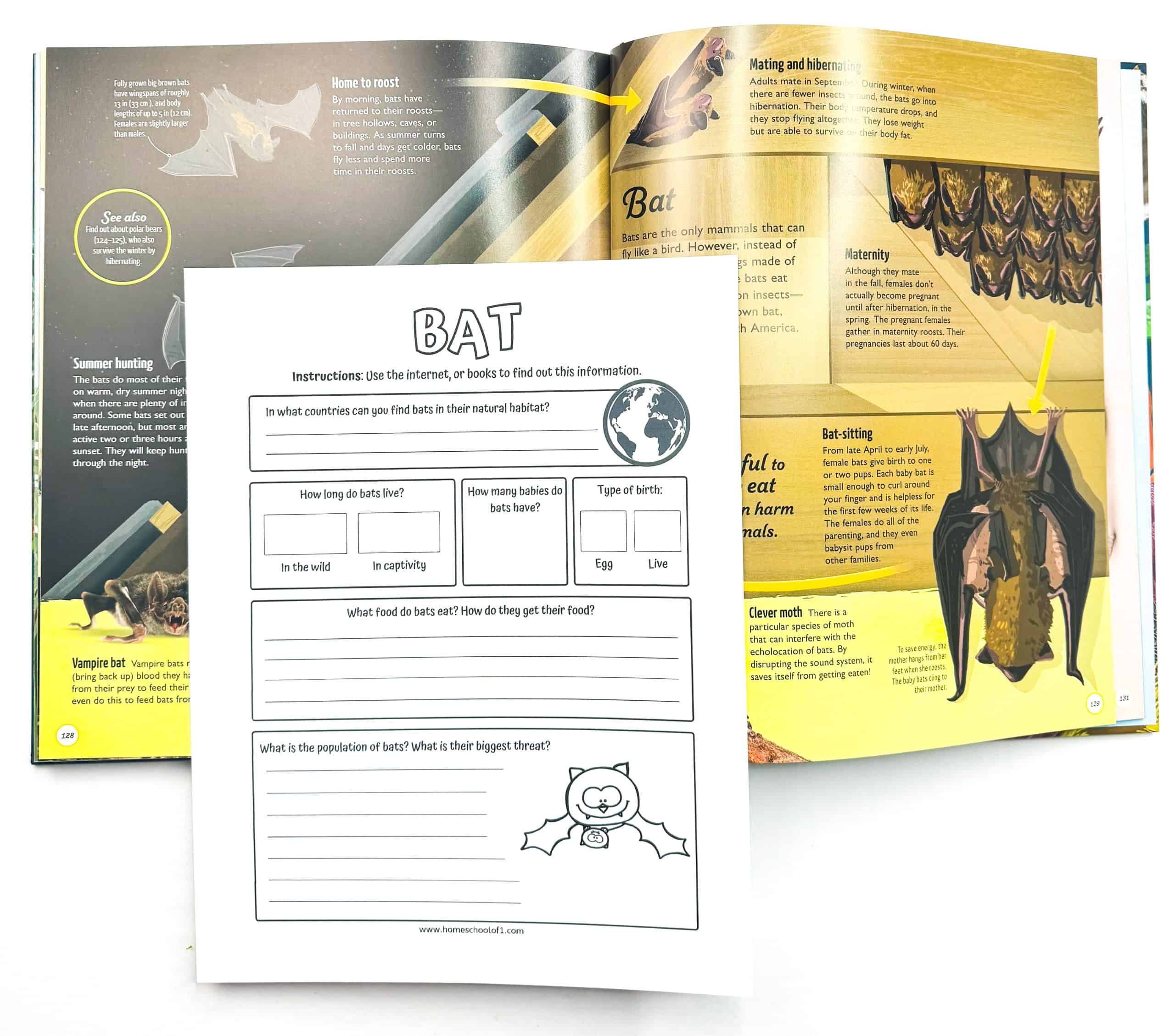 Printable bat research worksheet for kids with questions on habitat, diet, lifespan, birth type, population, and threats, shown over an open bat-themed book.