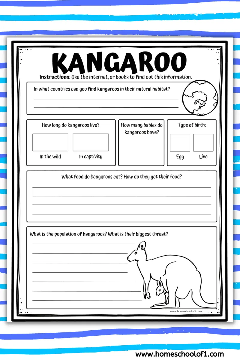 kangaroo worksheet