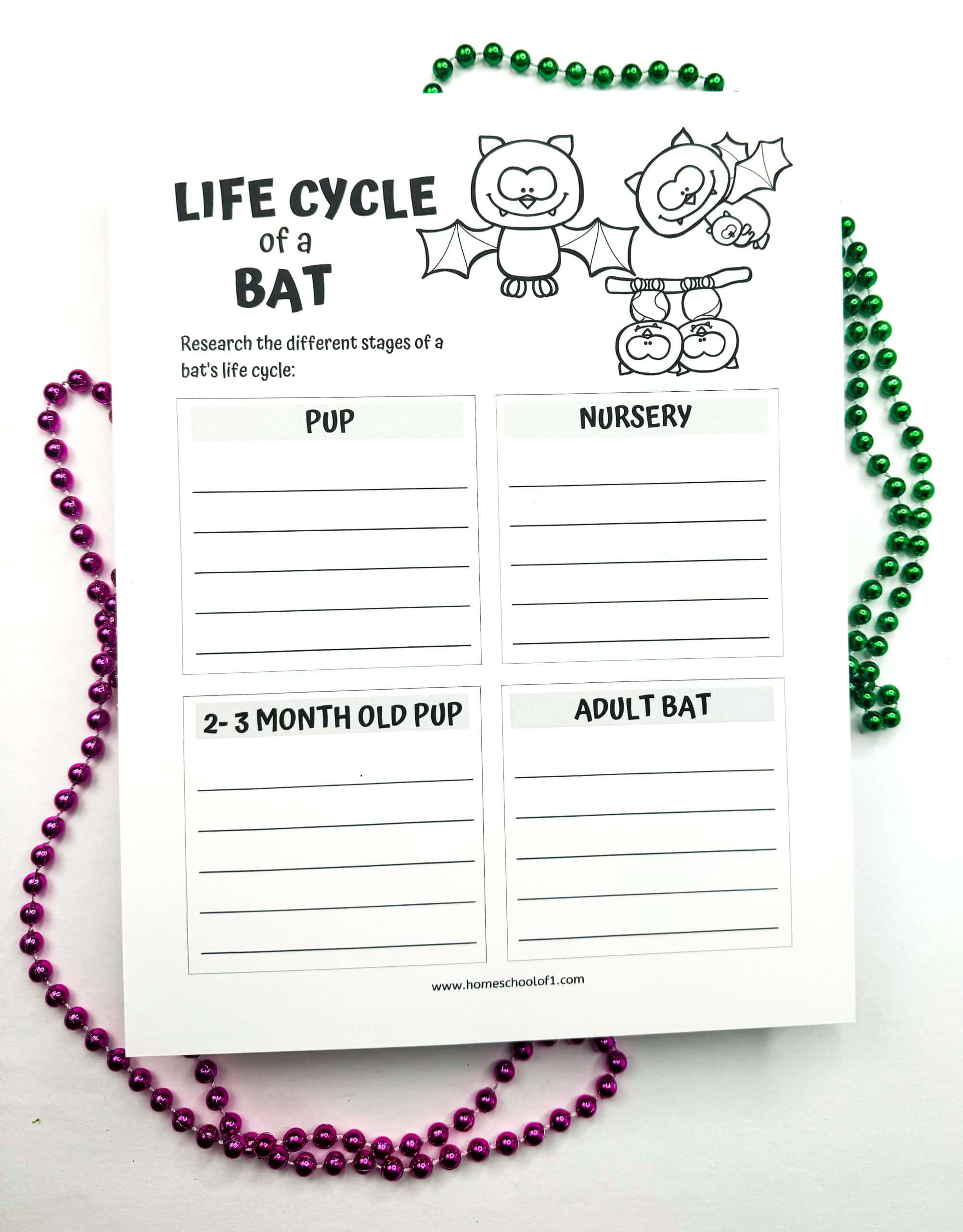 Printable worksheet on the life cycle of a bat with sections for Pup, Nursery, 2–3 Month Old Pup, and Adult Bat, featuring cartoon bat illustrations.