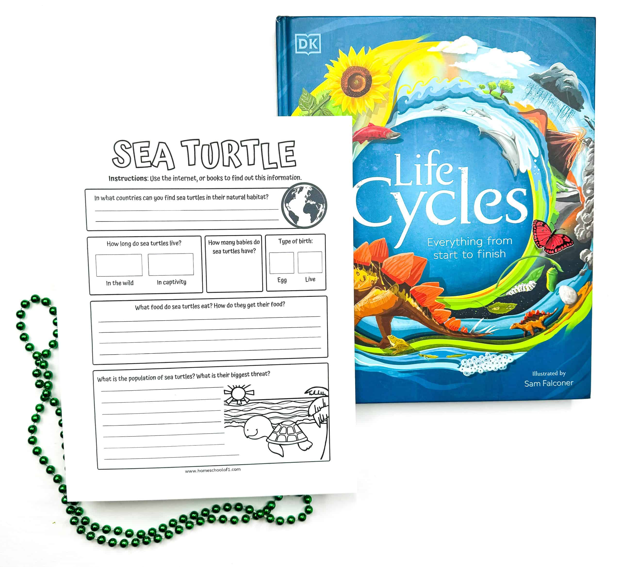 A “Sea Turtle” research worksheet for kids, with prompts asking about sea turtle habitats, lifespan, number of babies, birth type, diet, population, and threats. The worksheet features a small globe icon and a drawing of a sea turtle swimming in the ocean. Next to it is the DK book Life Cycles: Everything from start to finish, and green beaded necklaces are placed decoratively on the white surface.