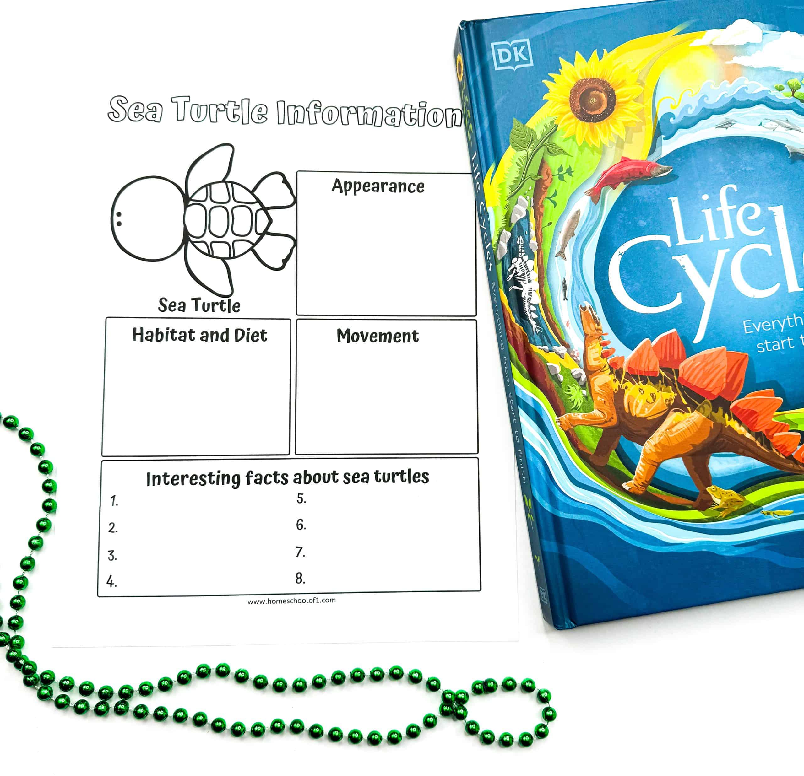A printable “Sea Turtle Information” worksheet for kids, featuring a cartoon sea turtle and labeled boxes for writing about its appearance, habitat and diet, movement, and eight interesting facts. The worksheet is paired with a DK book titled Life Cycles, which shows a vibrant cover with animals and nature. A green beaded necklace is also visible on the left side of the image.