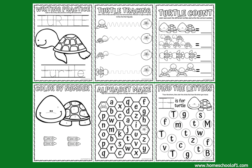 Turtle Worksheets for Preschool (free printables)
