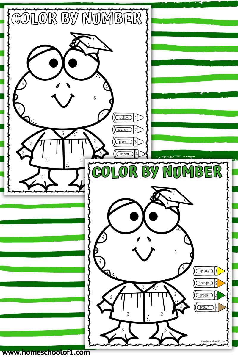 FROG COLOR BY NUMBER