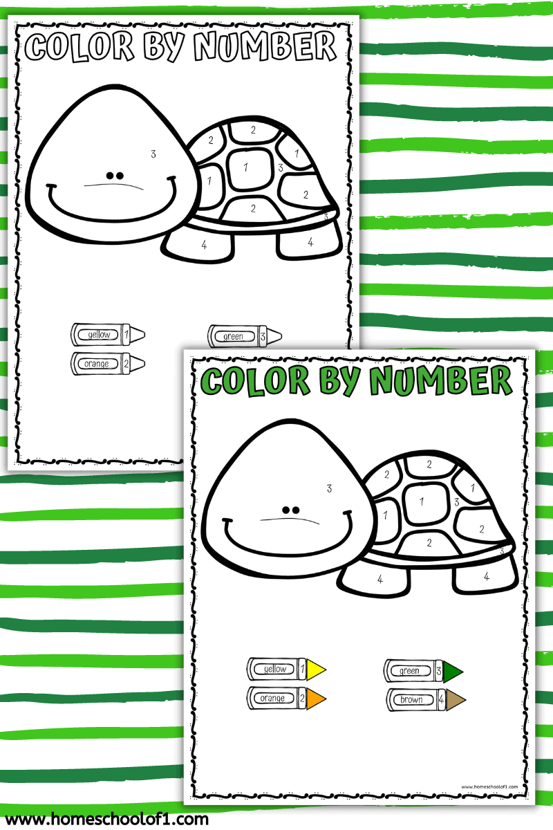 TURTLE COLOR BY NUMBER