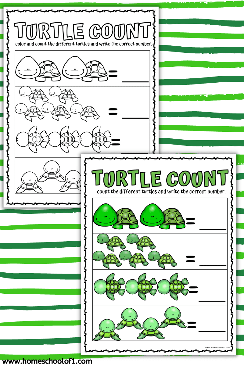 Turtle Worksheets for Preschool (free printables) Homeschool of 1