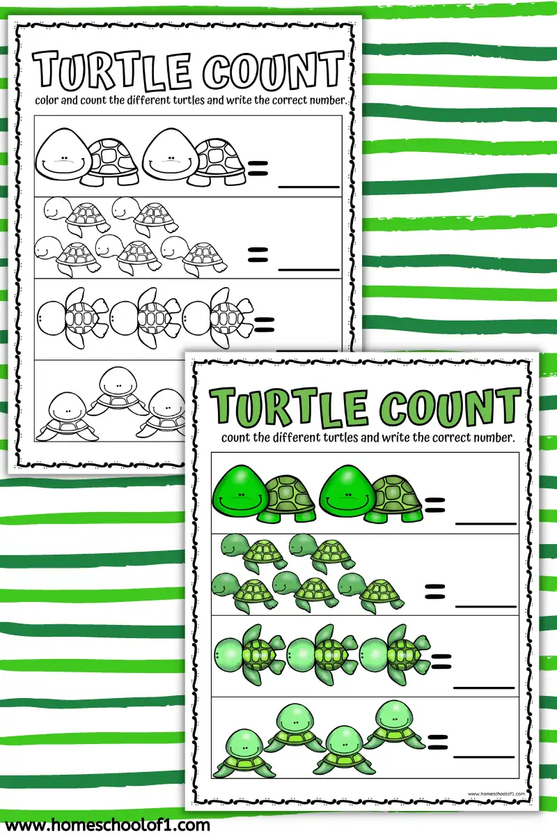 TURTLE MATH WORKSHEET