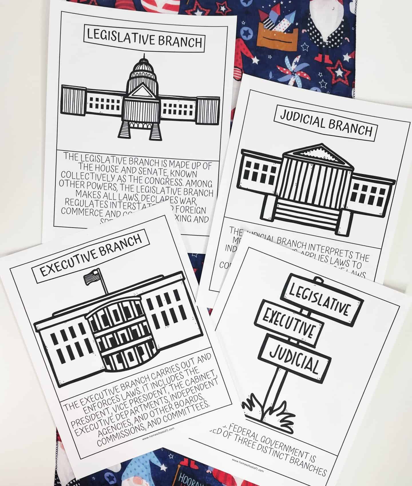 Four educational worksheets detailing the Legislative, Executive, and Judicial branches of the U.S. government, with corresponding descriptions, next to festive, gnome-patterned fabric.