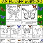 butterfly coloring pages