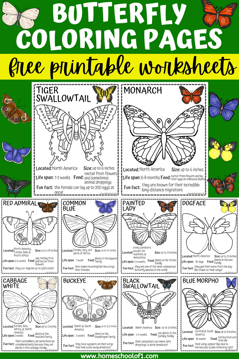 10 Captivating Butterfly Coloring Pages with Christmas Cheer