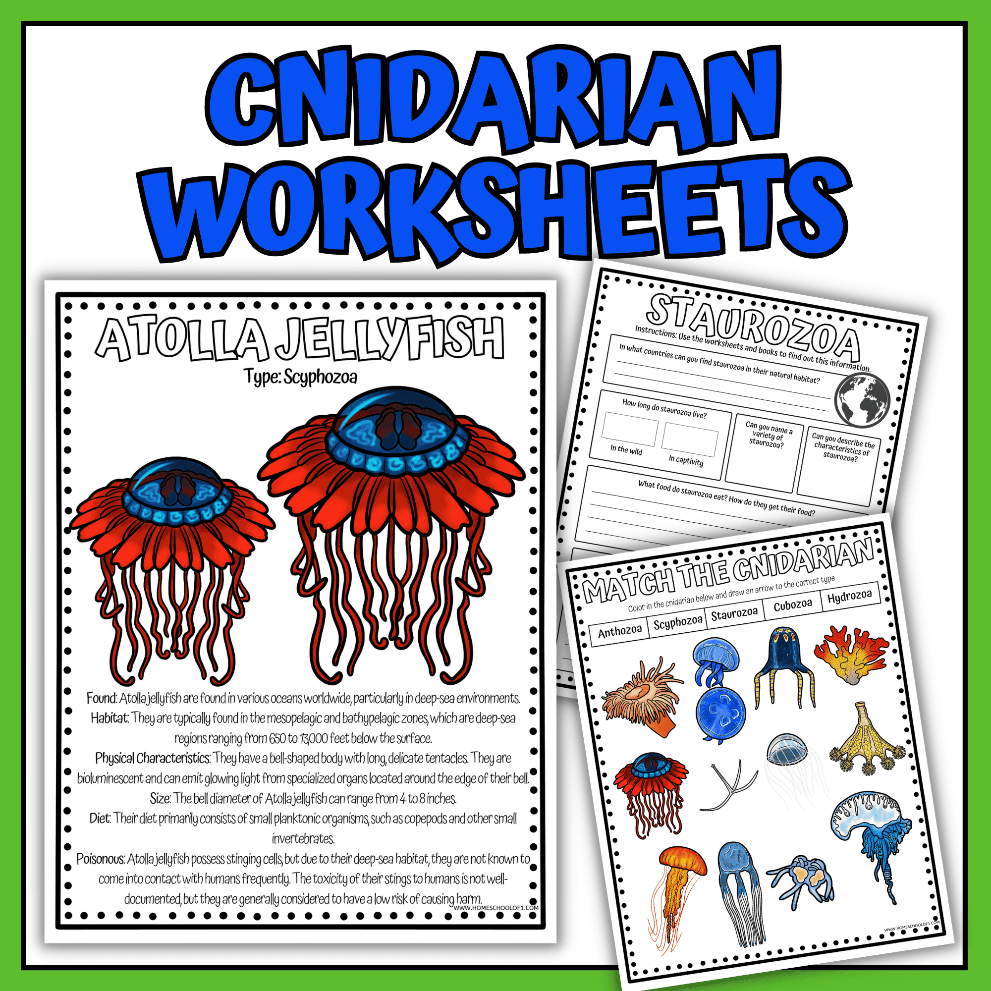 Jellyfish Worksheets