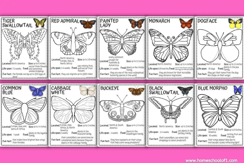 10 Butterfly Coloring Pages: Identify Different Types (free)