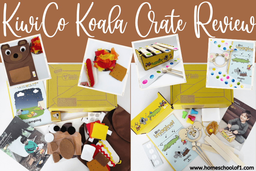 kiwico koala crate review