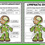 lymphatic system worksheet