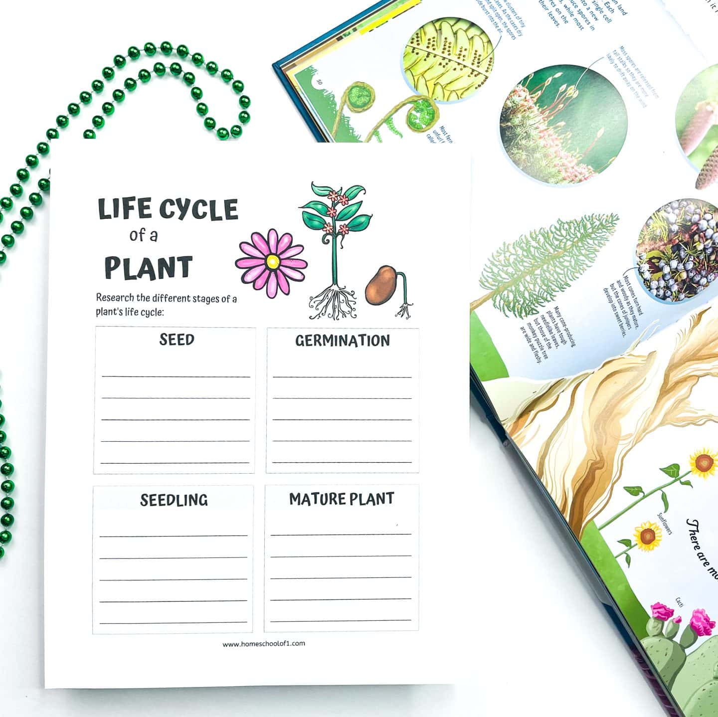 Plant life cycle worksheet for kids with four labeled sections—Seed, Germination, Seedling, and Mature Plant—each with lined space for writing. The top features colorful illustrations of a seed, sprout, flower, and mature plant. A botanical book is partially visible in the top right, and green bead garland adds a decorative, kid-friendly touch to the scene.

