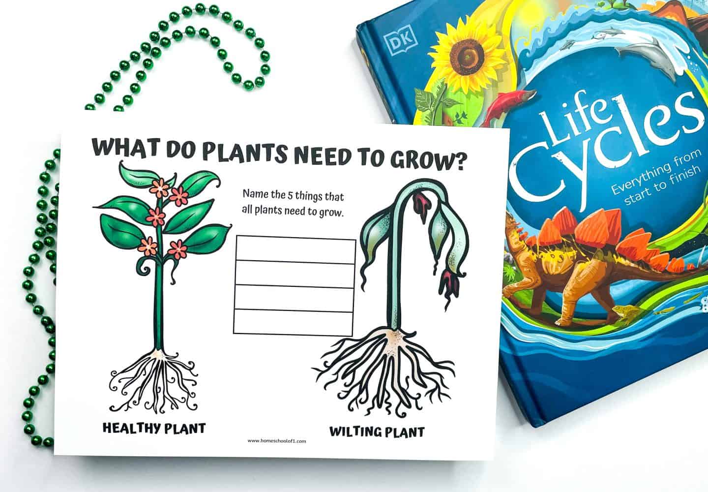 Colorful worksheet titled “What Do Plants Need to Grow?” featuring side-by-side illustrations of a healthy plant with flowers and a wilting plant. A blank box in the center prompts kids to list five things plants need to grow. A green bead strand and the DK book “Life Cycles” are included in the scene, reinforcing the educational theme.


