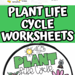 Colorful plant life cycle worksheets featuring labeling, cut-and-paste stages, and a DIY plant life cycle spinner wheel.