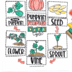 Free printable life cycle of a pumpkin worksheet showing six stages—seed, sprout, vine, flower, green pumpkin, and orange pumpkin—illustrated with colorful hand-drawn images for kids.