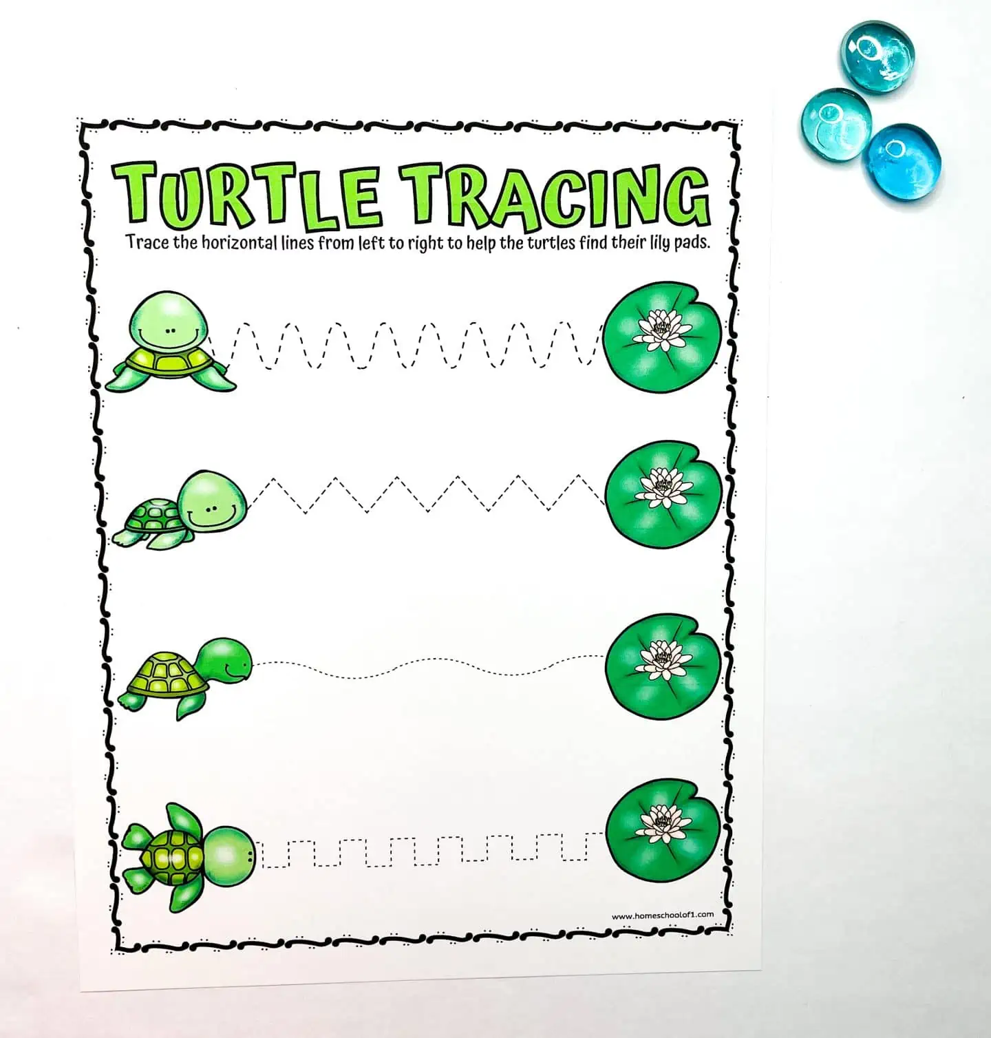 TURTLE TRACING WORKSHEET