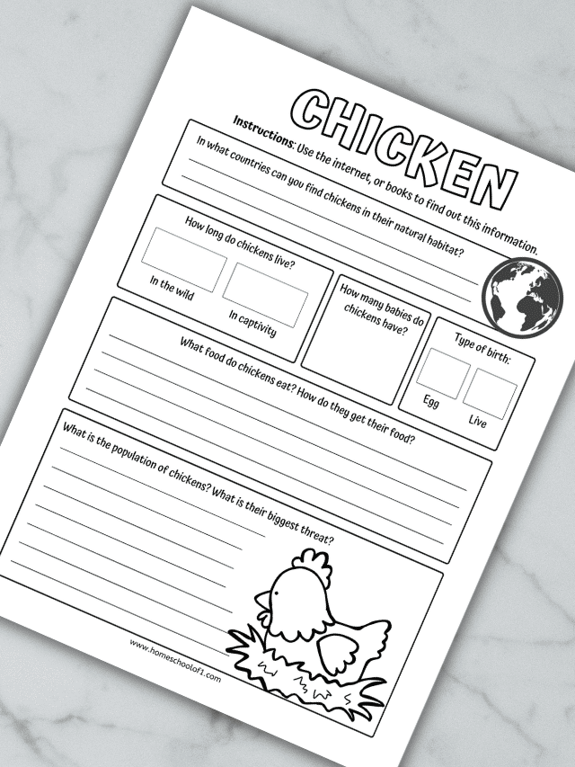 chicken life cycle worksheets