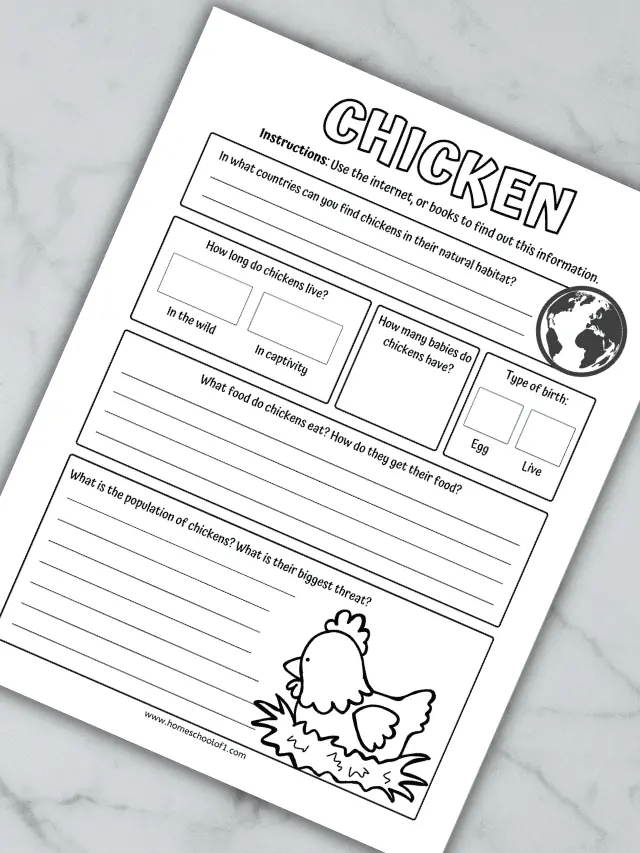 Chicken Life Cycle Worksheets Story