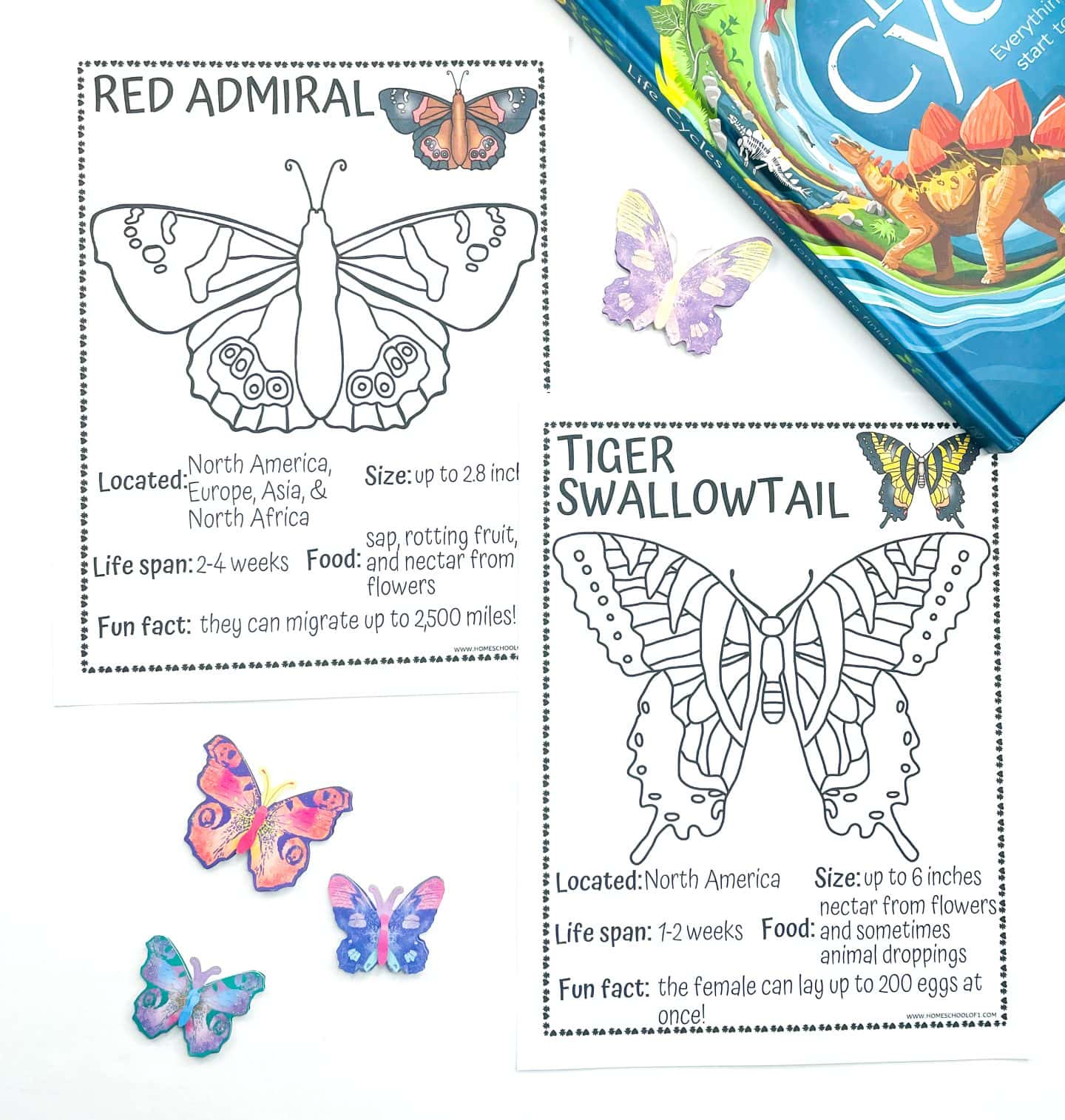 Two printable butterfly coloring pages featuring the Red Admiral and Tiger Swallowtail butterflies. Each page includes a black-and-white outline of the butterfly for coloring, along with facts such as location, size, life span, food source, and a fun fact. Colorful paper butterflies and a children's life cycle book are used as props in the background.