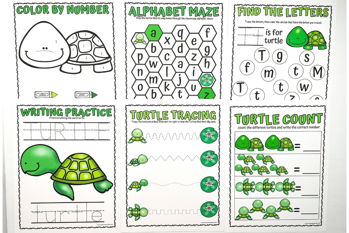 Set of six free printable turtle worksheets for preschoolers featuring fun educational activities: color by number, alphabet maze, letter recognition, writing practice, tracing lines, and turtle counting. Each worksheet includes cute green turtle illustrations to help kids engage with early learning skills like numbers, letters, and fine motor development.