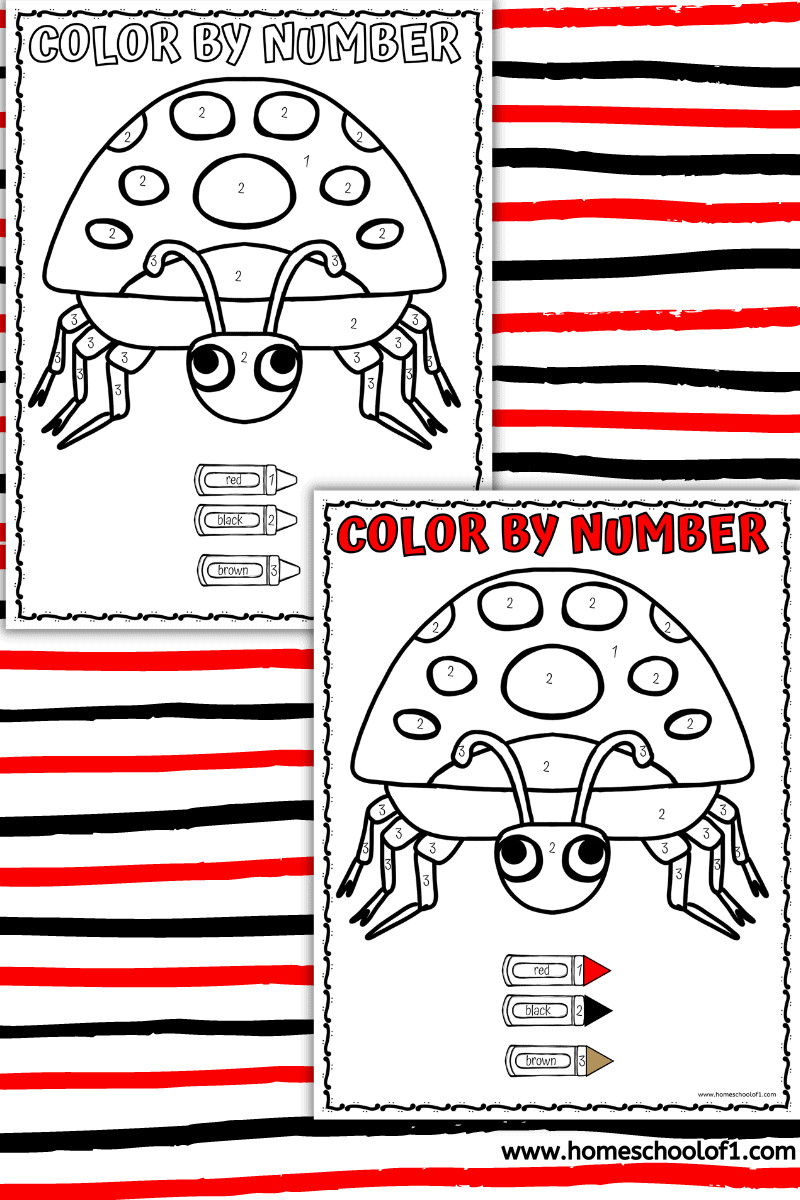 ladybug color by number