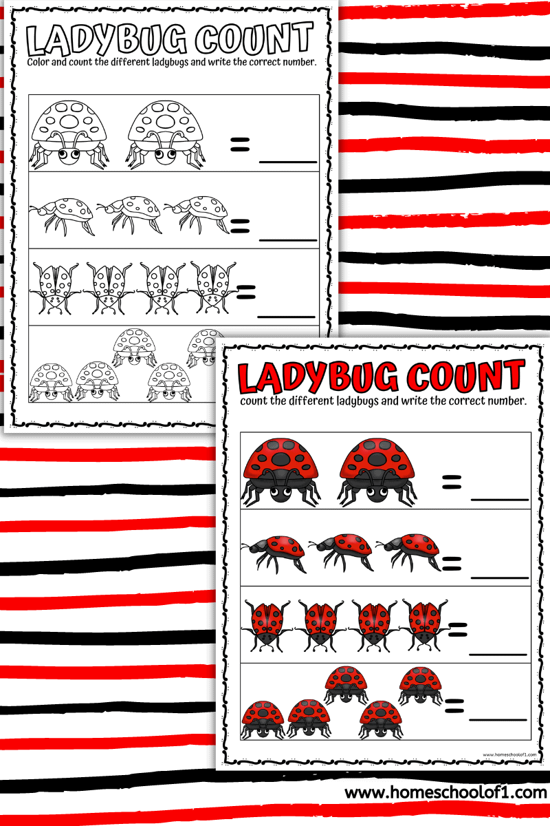 ladybug count