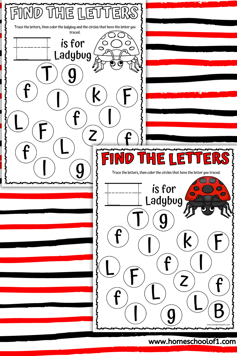 Ladybug find the letter