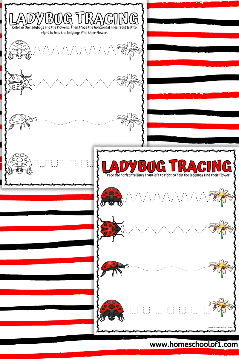 ladybug tracing worksheet