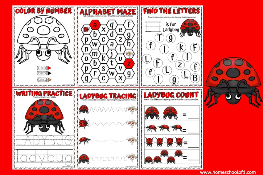 Ladybug Worksheets for Preschool (free printables)
