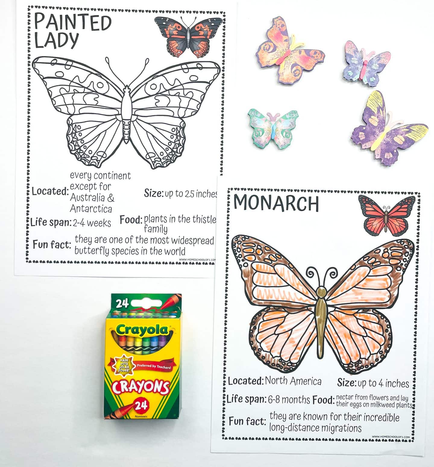 Two butterfly coloring pages feature the Painted Lady and Monarch butterflies. The Painted Lady sheet is uncolored, while the Monarch is partially colored in orange and black. Each worksheet includes habitat, size, lifespan, food, and a fun fact. Surrounding props include colorful paper butterflies and a 24-pack of Crayola crayons.