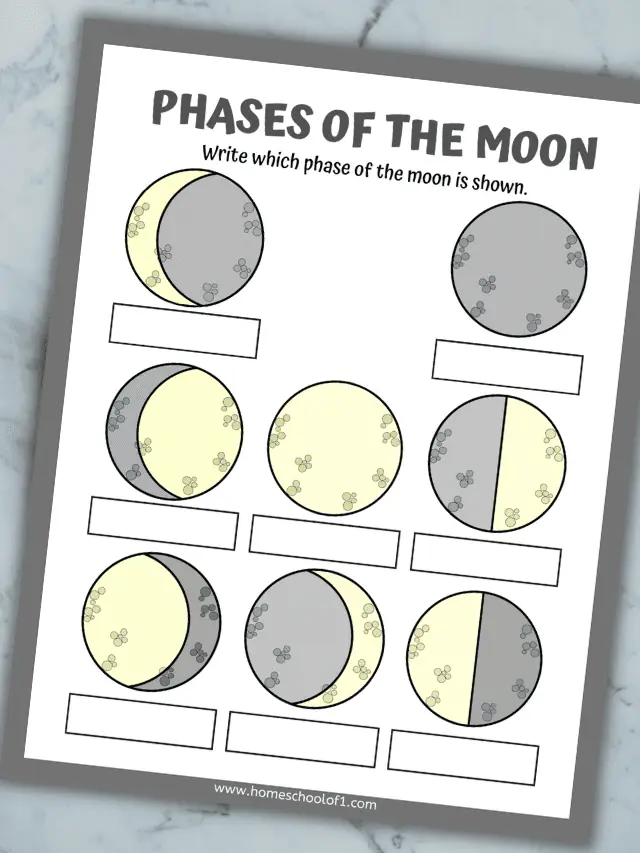 phases of the moon