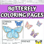 printable butterfly coloring pages