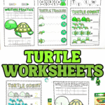 Preview of six printable turtle worksheets for preschool, including color by number, alphabet maze, letter recognition, tracing, and counting.