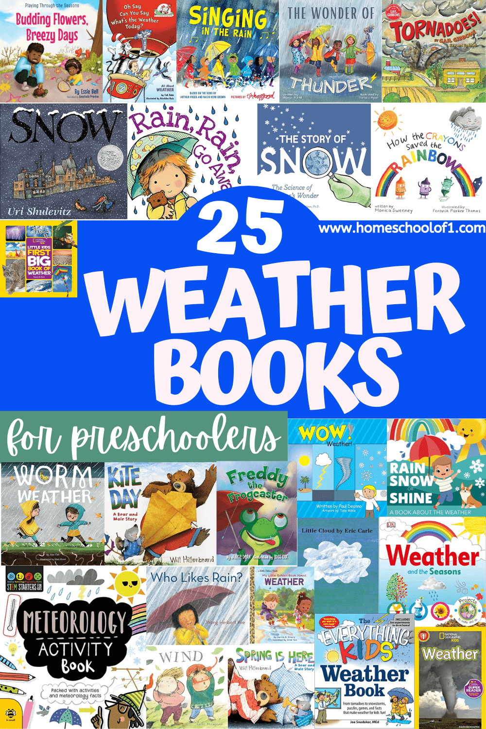 25 Weather Books for Preschool (Teacher-Tested Picks)