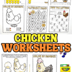 A collage of six chicken-themed preschool worksheets including counting, tracing, alphabet maze, and color by number activities.