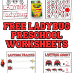ladybug preschool worksheets
