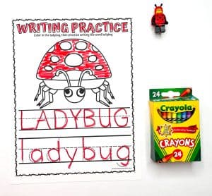 Free Ladybug Worksheets for Preschool Kids