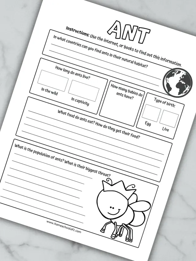 Life Cycle of an Ant Worksheets Story